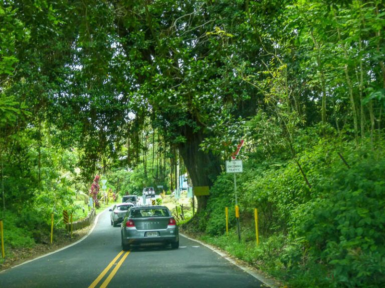 How Scary is the Road to Hana Really?