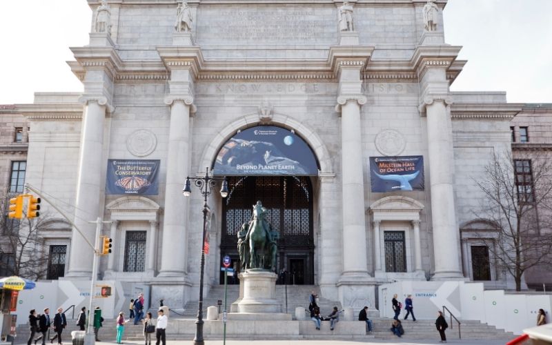 American Museum of Natural History – Museum Review