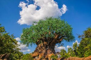Tree Of Life